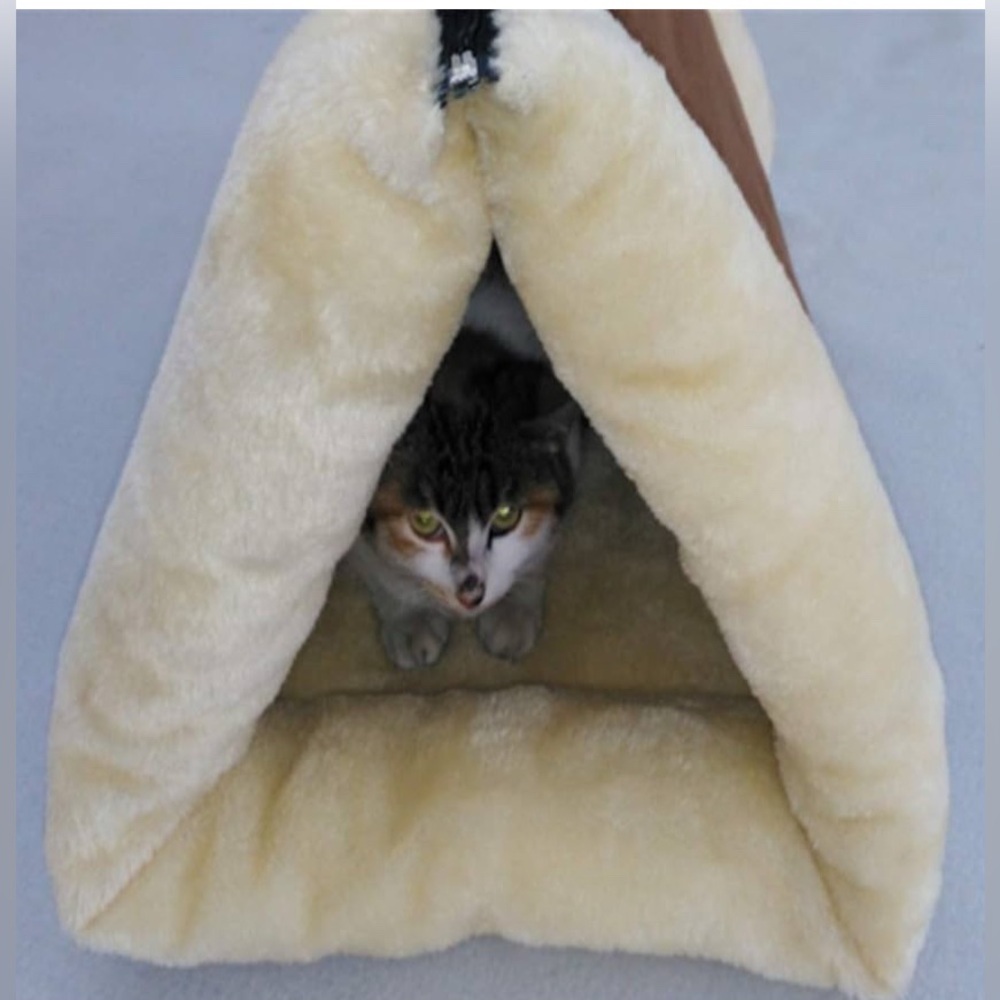 🐈 ALIGA CAT SLEEPING & CAT TUNNEL DUEL PURPOSE CAT MAT. - Picture 2 of 10